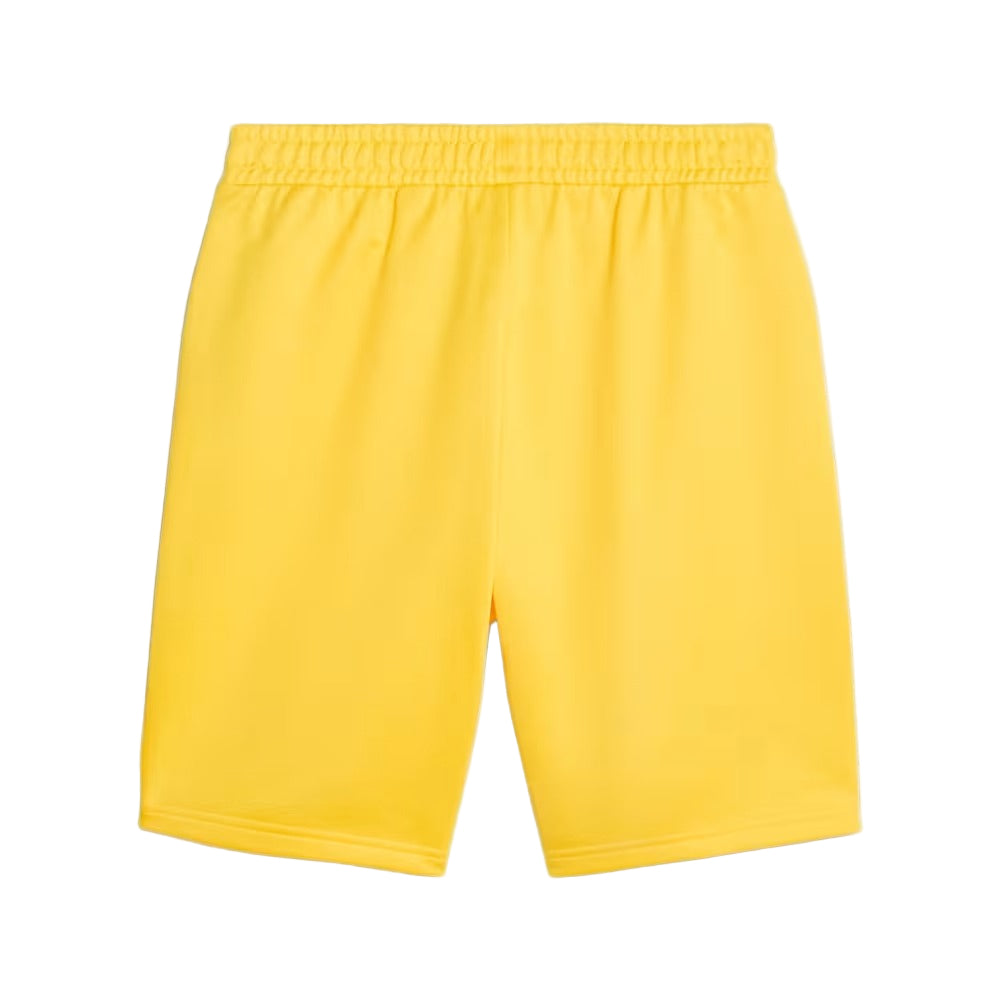Puma CAF Ghana GFA Men’s AFCON FtblCulture Shorts - Shorts