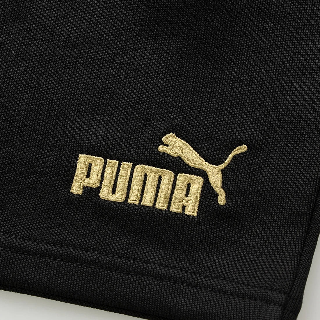 Puma Egypt EFA Men's 2023/2024 FtblCulture Shorts