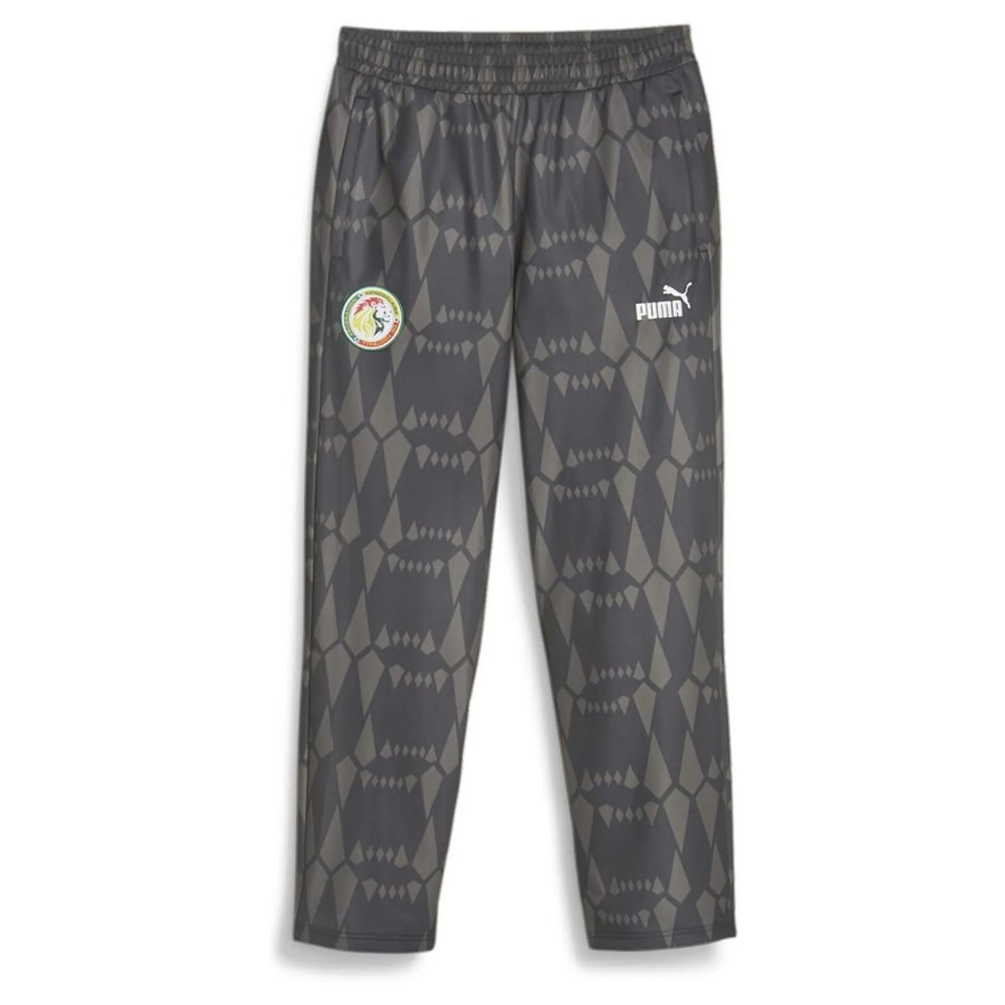 Puma Senegal FSF Men's AFCON FtblCulture Track Pants