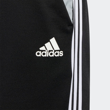 adidas Boys Presentation Track Suit Shorts