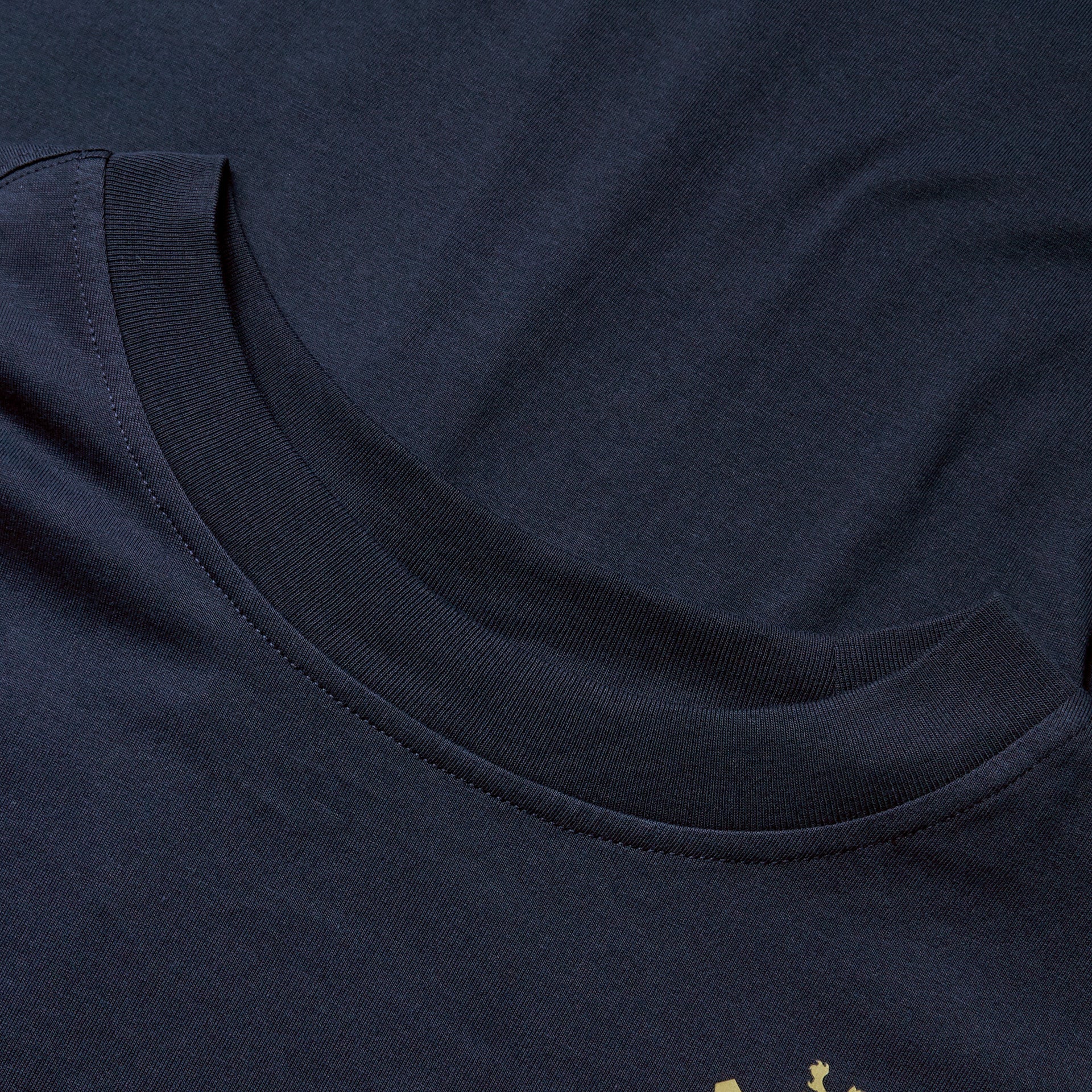 Canterbury British & Irish Lions 2025 Mens Cotton Rugby Tee