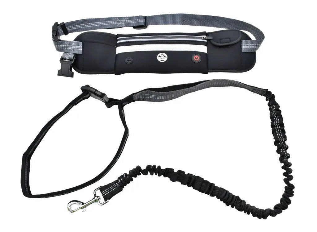 Six peaks LED Dog Lead Running Belt Black