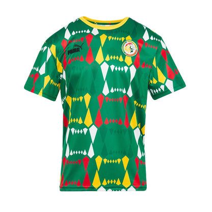Puma CAF Senegal FSF Men’s AFCON FtblCulture Training T-Shirt - T-Shirts