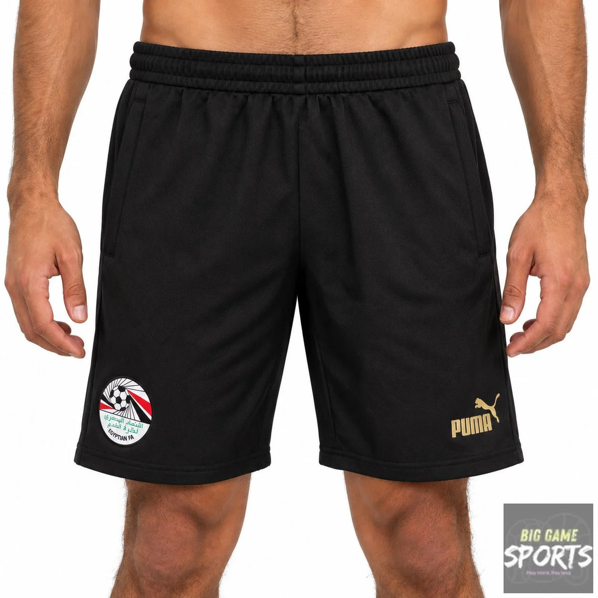 Puma EFA Egypt Football Men’s 2023/2024 FtblCulture Shorts Zip Pockets