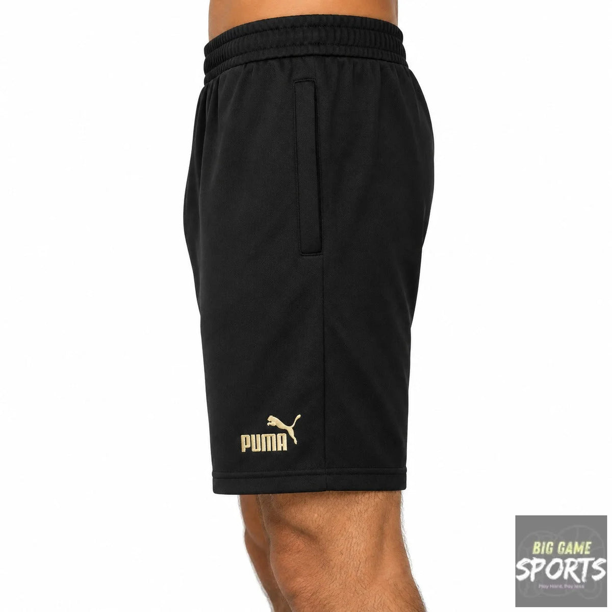 Puma EFA Egypt Football Men’s 2023/2024 FtblCulture Shorts Zip Pockets