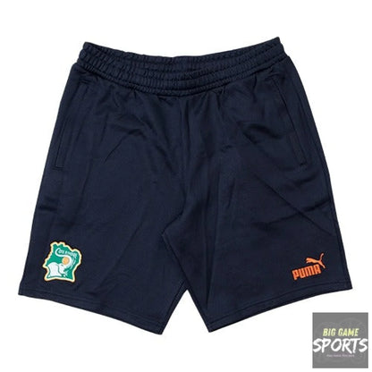 Puma Ivory Coast FIF Men’s 2023/2024 FtblCulture Shorts Zip Pockets - Shorts