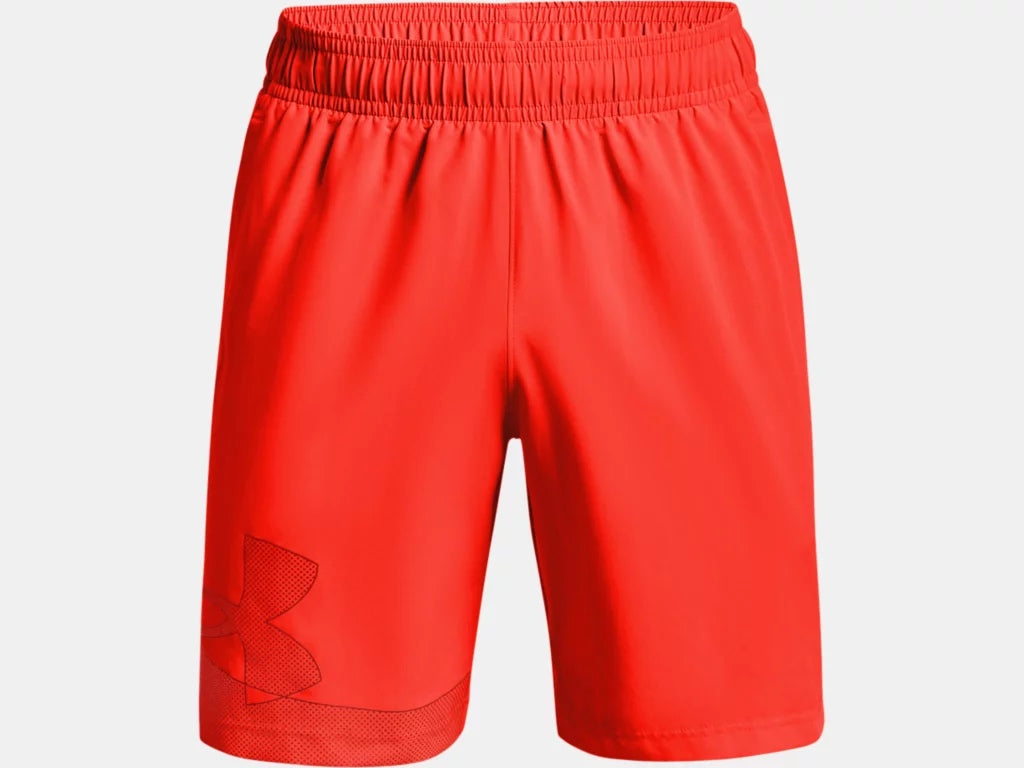 Under Armour Mens Woven Graphic Shorts